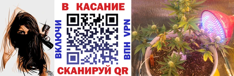Где купить Мытищи Alpha PVP  МАРИХУАНА  MEGA ONION  Амфетамин  Гашиш  Лсд 25  Меф  МЕТАДОН 