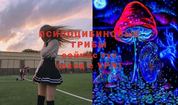 героин Ельня