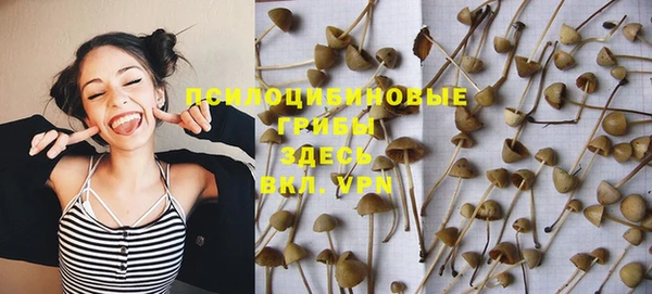 героин Ельня