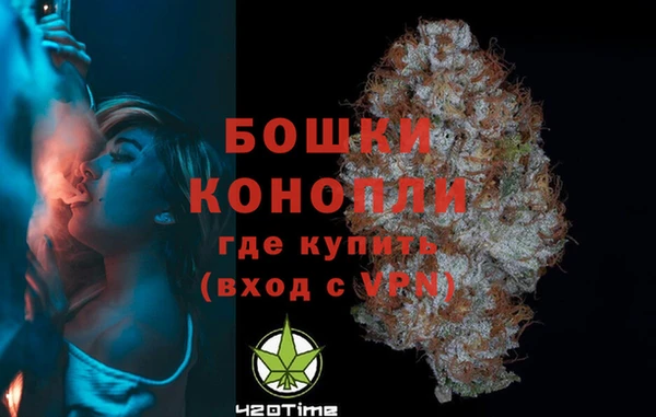 ГАЛЛЮЦИНОГЕННЫЕ ГРИБЫ Лагань