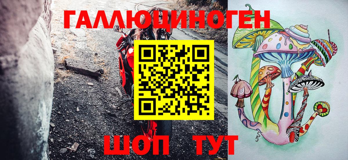 Мытищи  Галлюциногенные грибы Psilocybine cubensis  Вход с VPN 