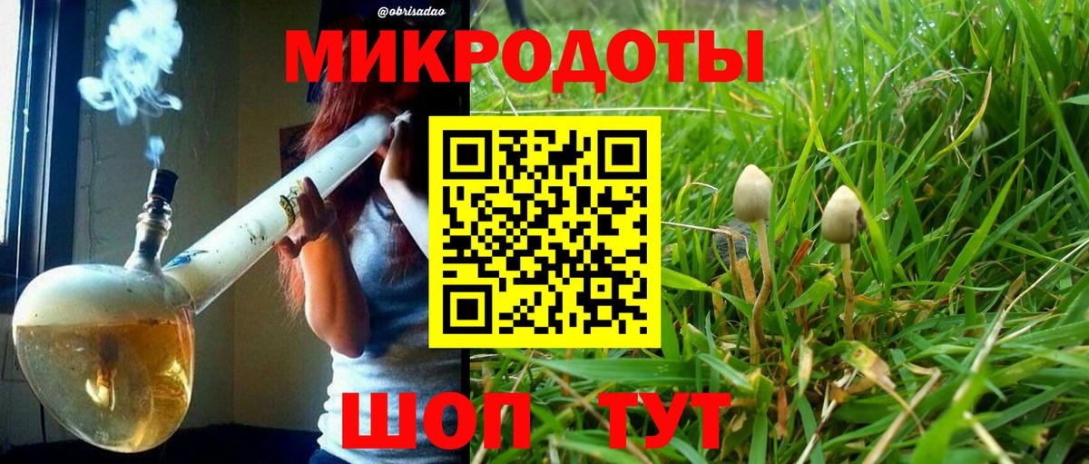 Псилоцибиновые грибы GOLDEN TEACHER Мытищи